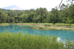 五色沼　瑠璃沼