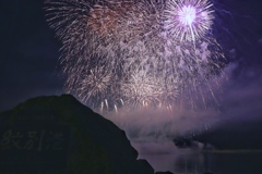 夏の夜に咲く満開の花
