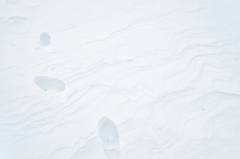 雪中の足跡