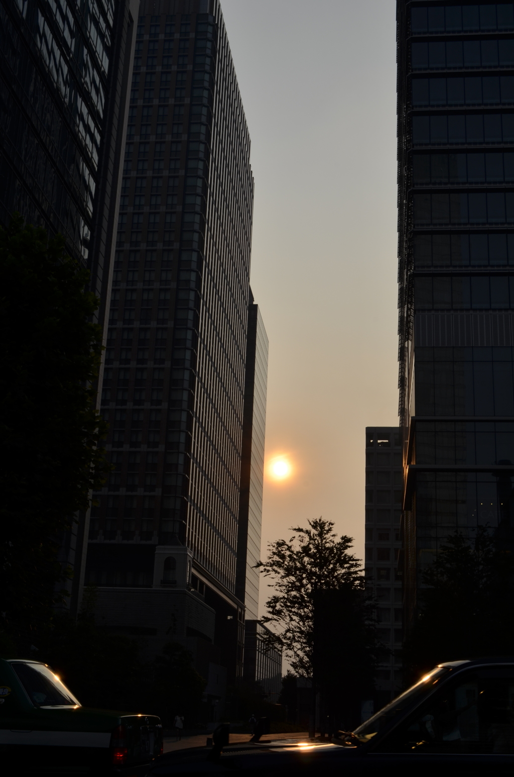 ビルと夕日