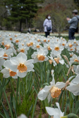 ひたちなか海浜公園