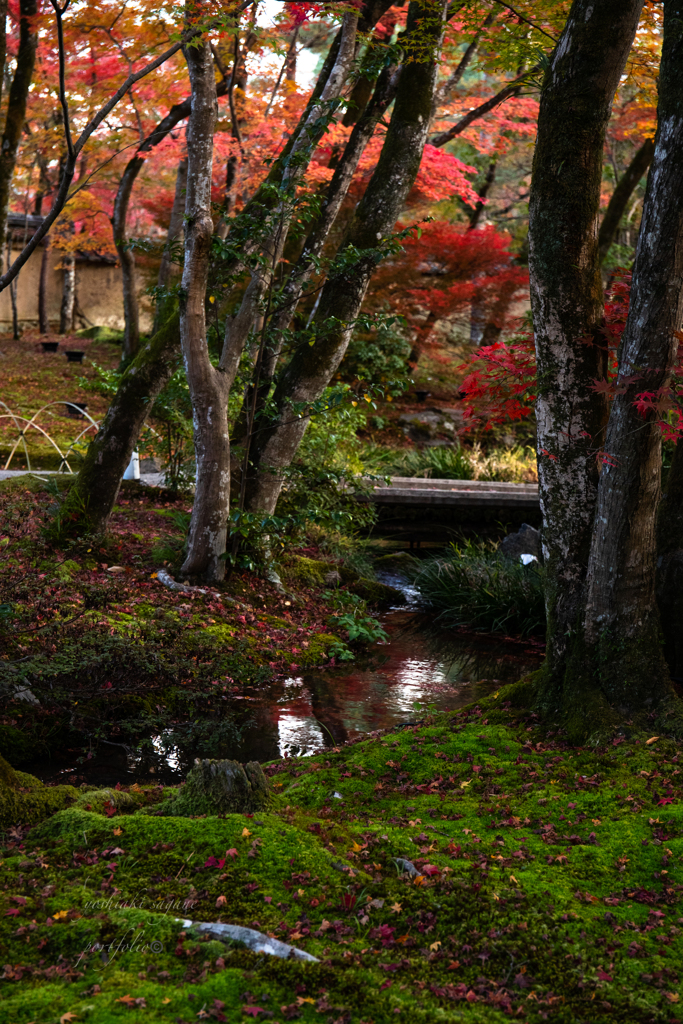 Kyoto Japan