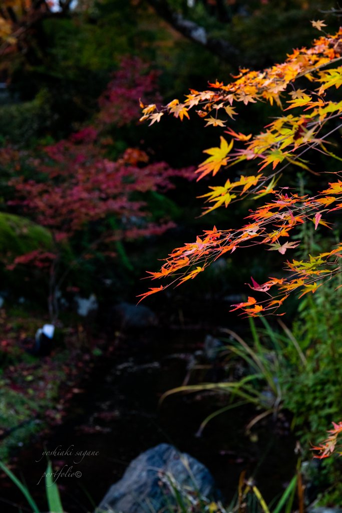 Kyoto Japan