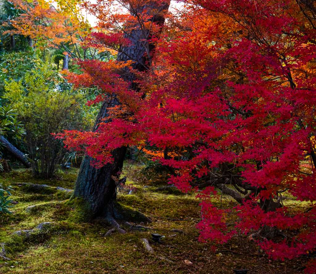 Kyoto Japan