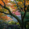 Kyoto Japan