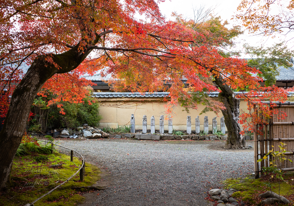 京都嵐山