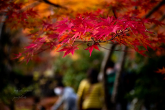 Kyoto Japan