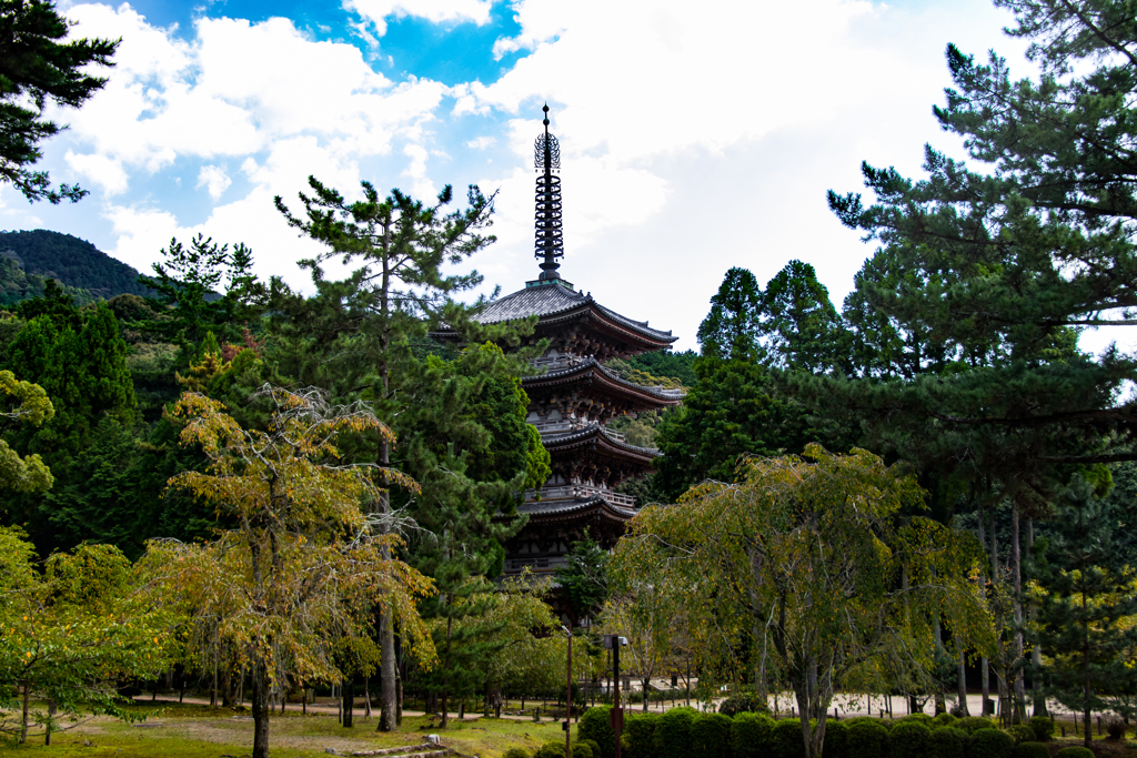 京都醍醐寺