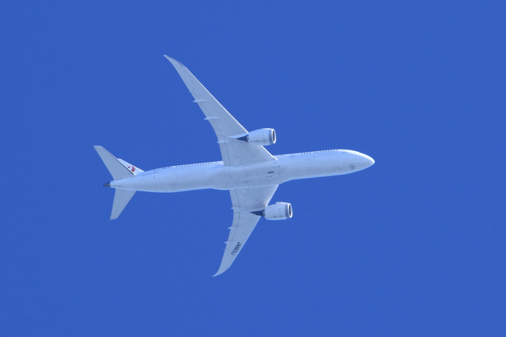 自宅にて日本航空