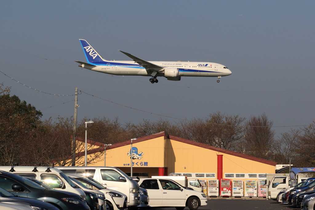 空の駅さくら館とＡＮＡ