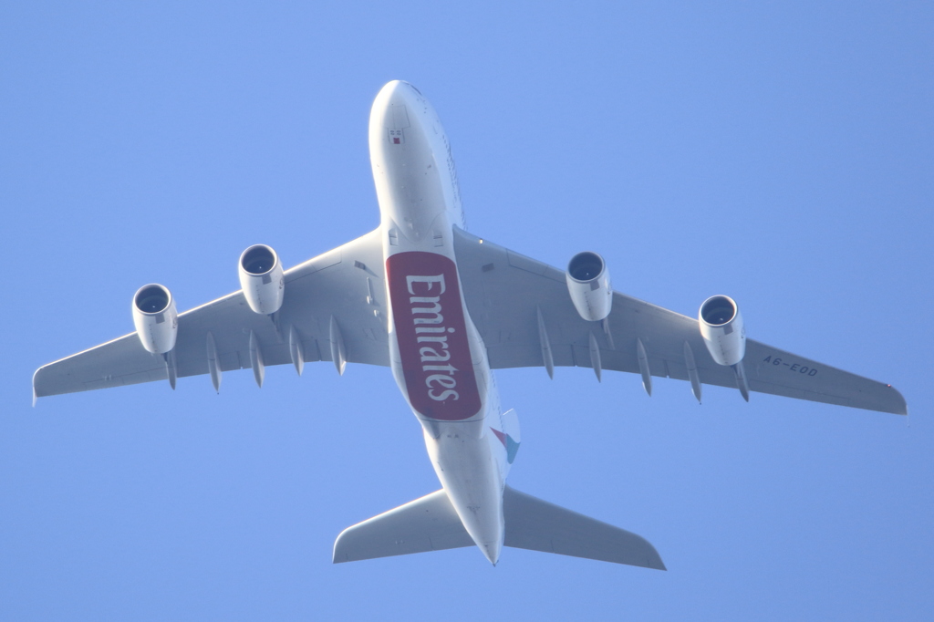 エミレーツ航空　頭上通過