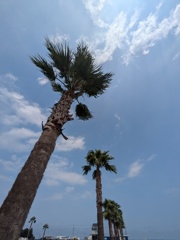 イナホルニアの空