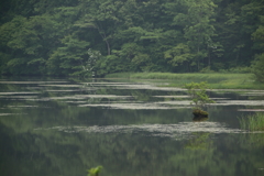 鏡池