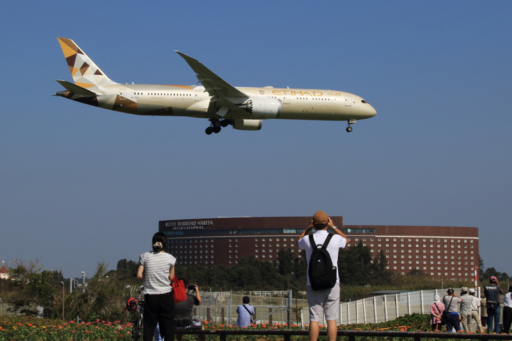さくらの山公園エティハド航空ホテル添え