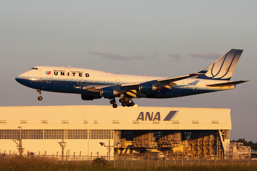 ユナイテッド航空　旧塗装