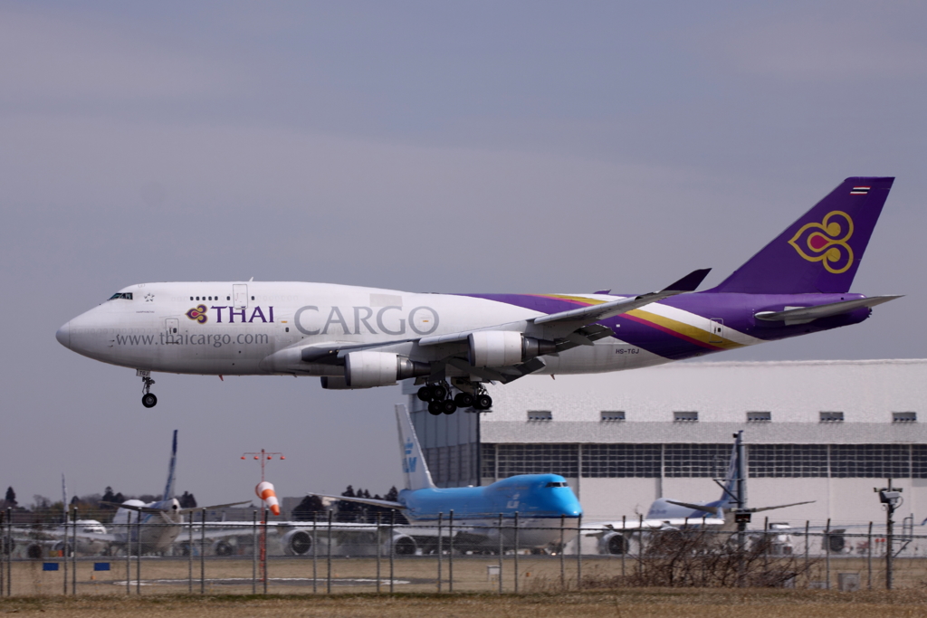 タイ国際航空　さくらの丘より