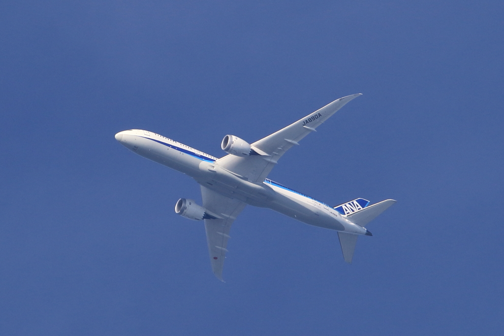 自宅撮り　全日空