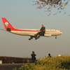 さくらの山公園　四川航空