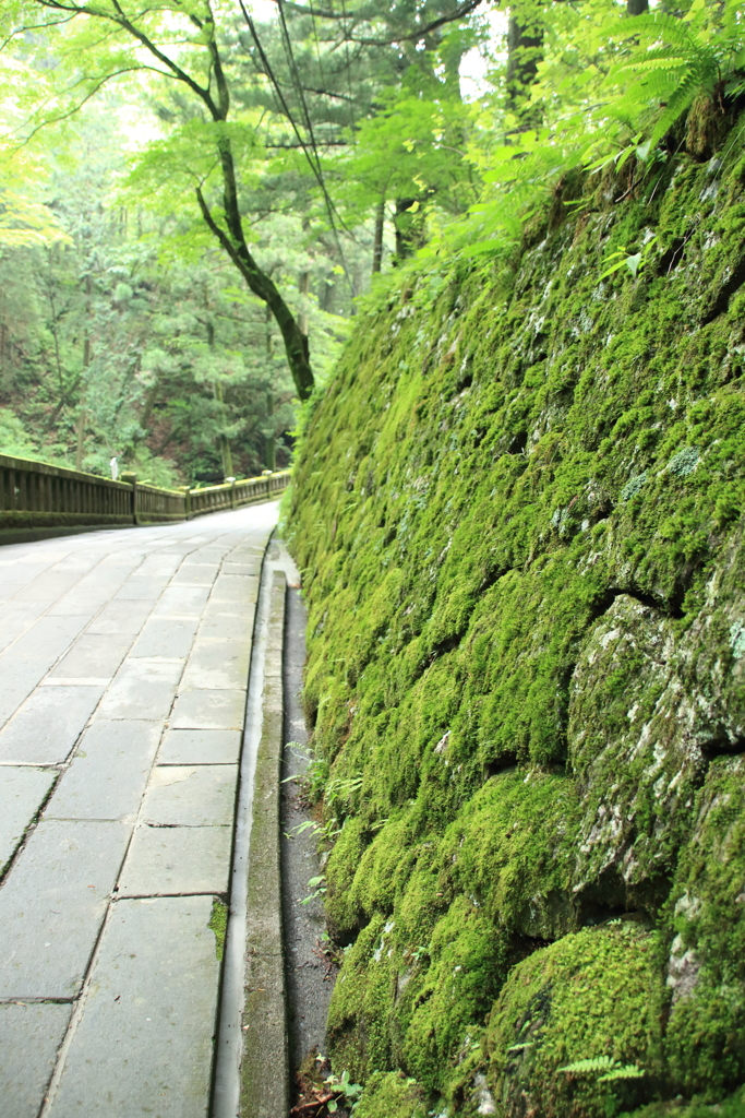 静かな参道