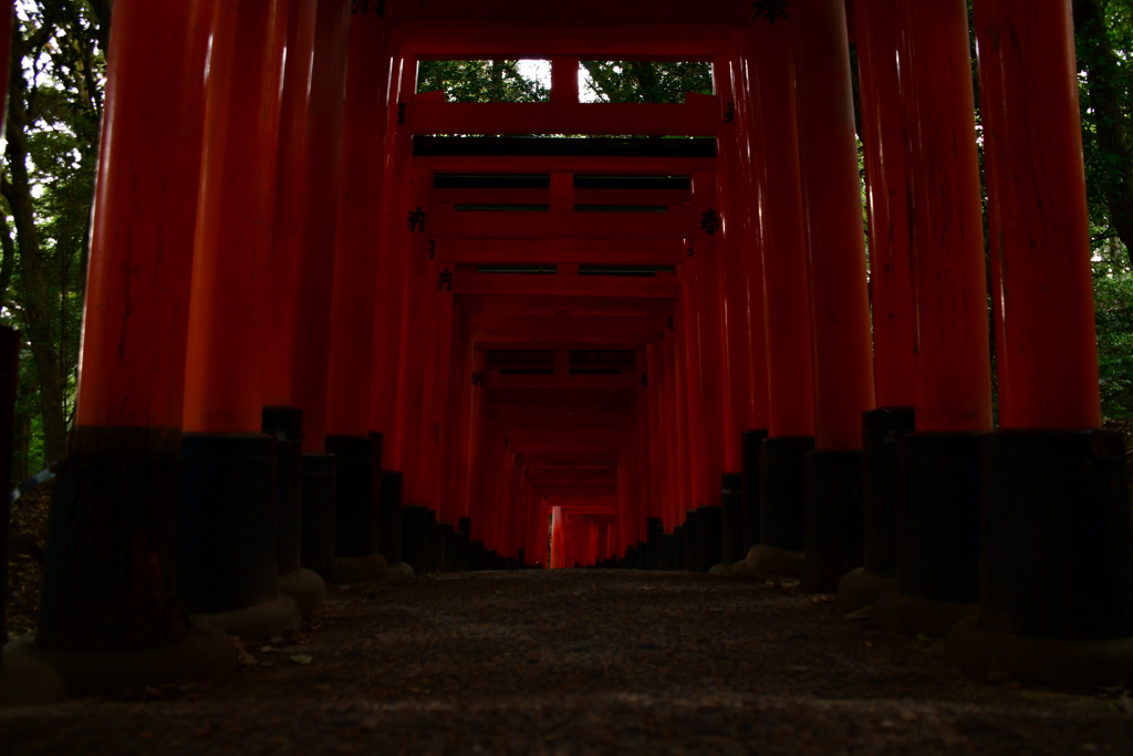 伏見稲荷 千本鳥居