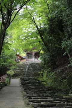 初心者山ガールの戦い