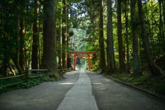 平泉 中尊寺