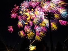 海老名市民祭り