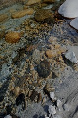 河原の１