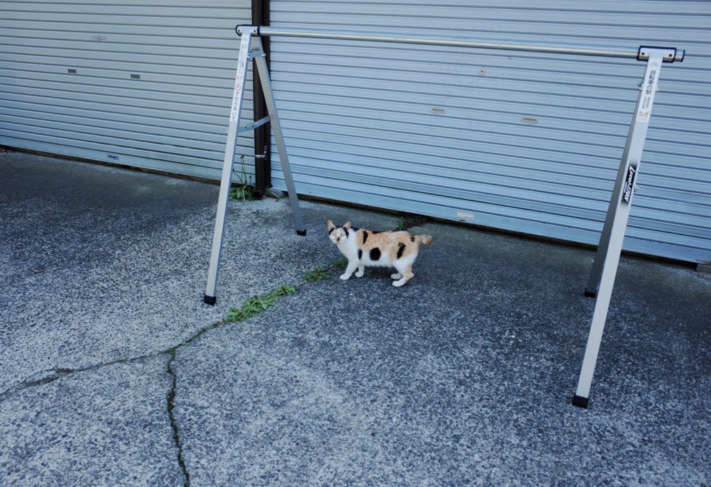 ん？