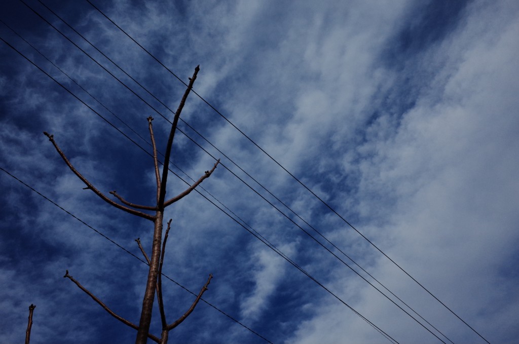 暗い空