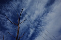 暗い空