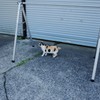 こっち向いて