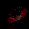 習作42 花のような花火