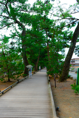 習作36 木道