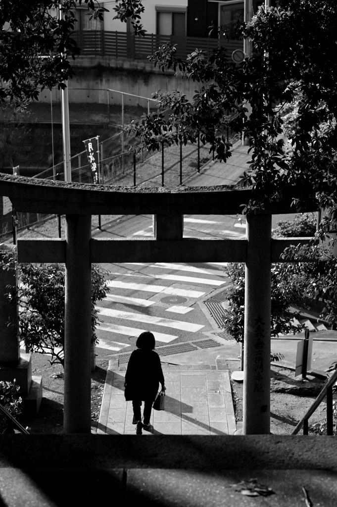DSC_1250
