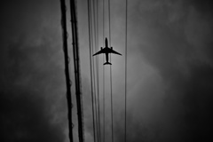 電線