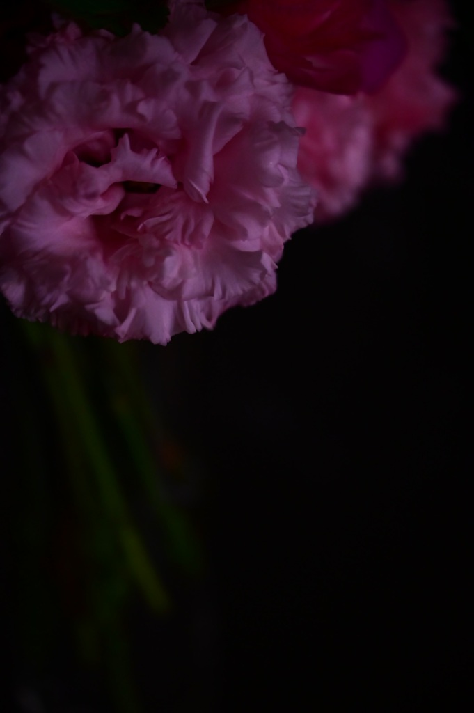 花束