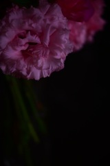 花束