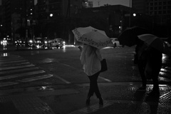 雨の日　信号待ち