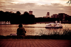 公園　夕暮れ