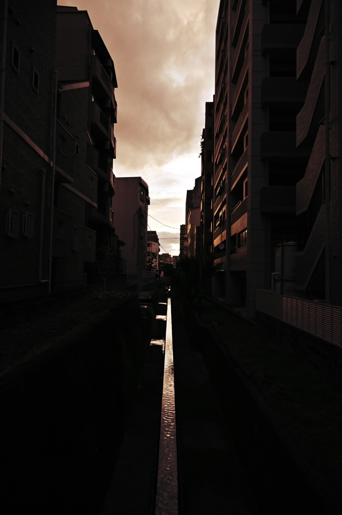 夕暮れ