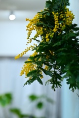 花束
