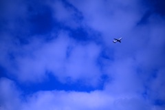 AA422314-C580-4C17-BAD5-874C650619DF
