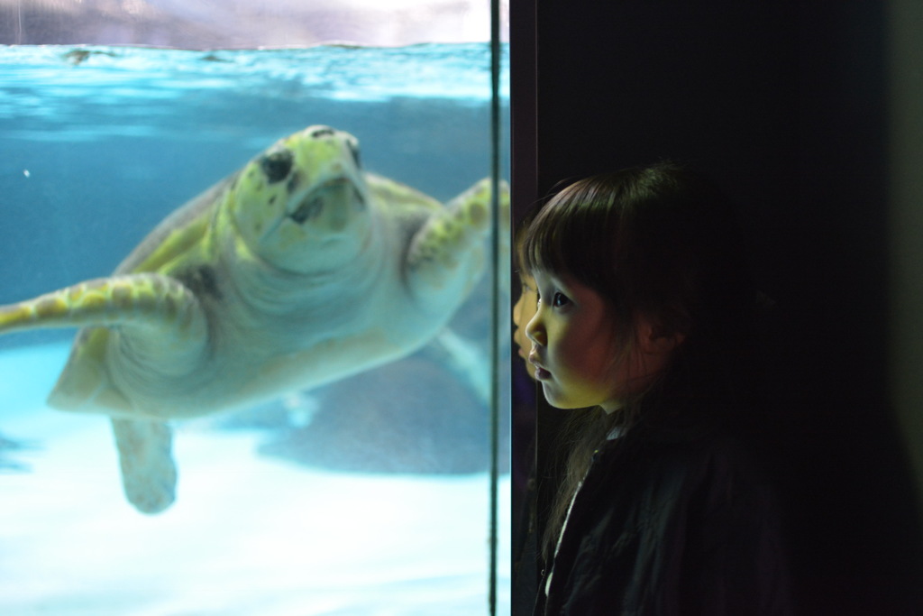 水族館