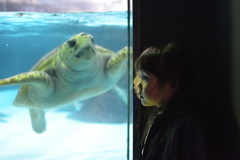 水族館