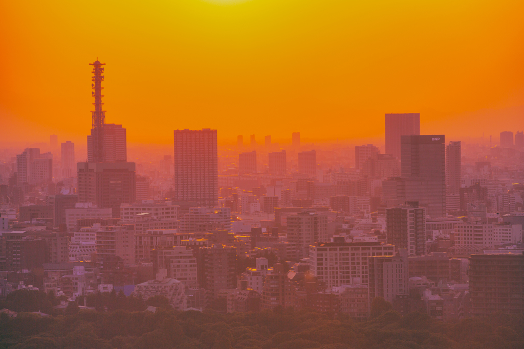 東京の夕焼け