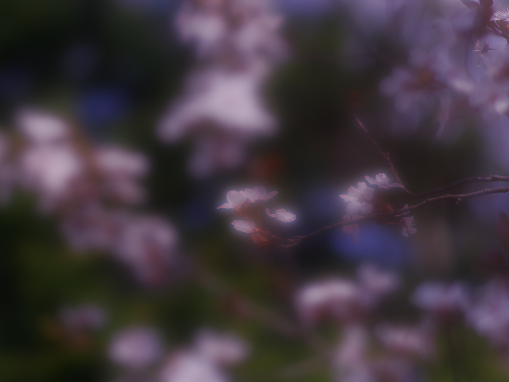ほのかに