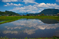 穏やかな時間