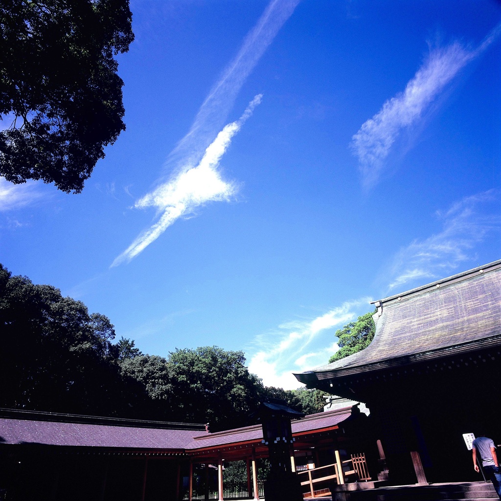 これがホントの飛行機雲