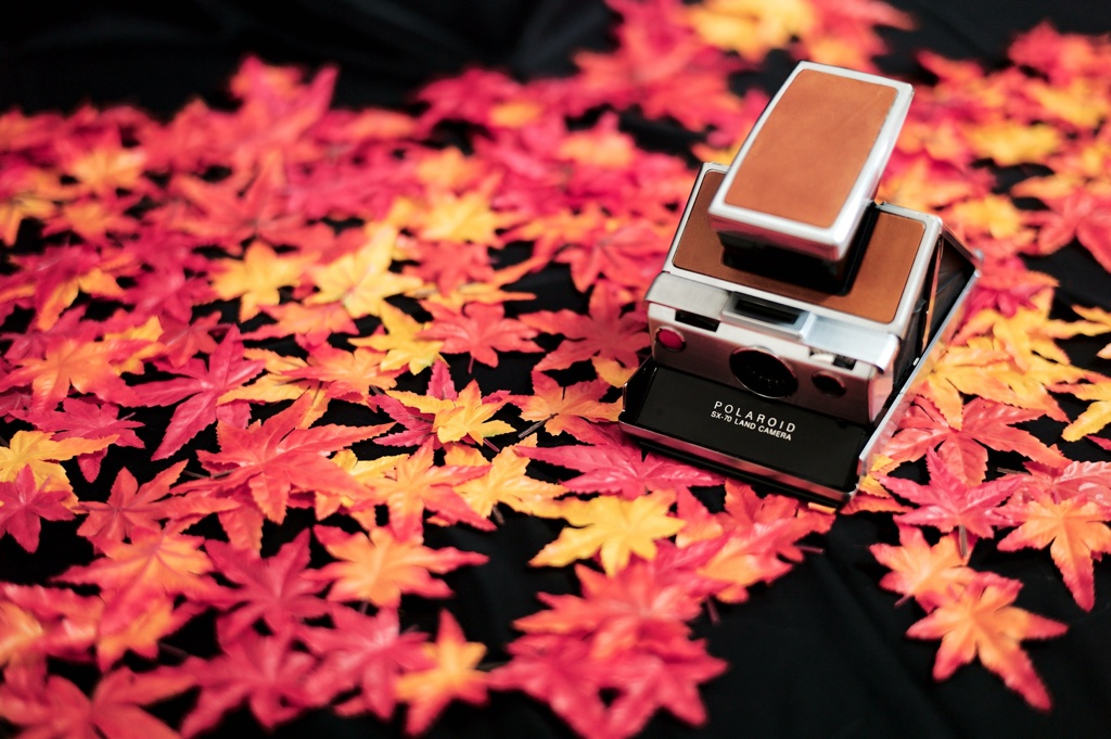 SX-70の秋